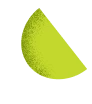 Lime icon
